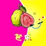 青苹果乐园影视在线下载