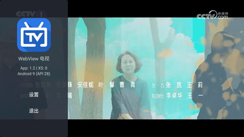 WebView电视1