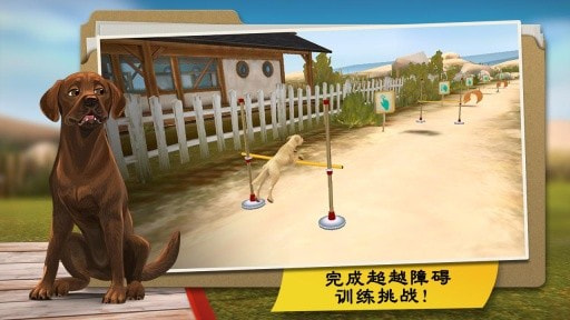 狗狗旅馆DogHotel1