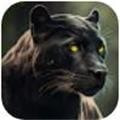 荒野豹动物生活模拟Wild Panther Animal Life Sim_logo