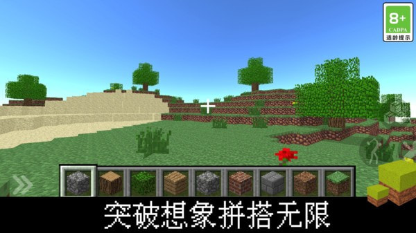 我的立方世界1