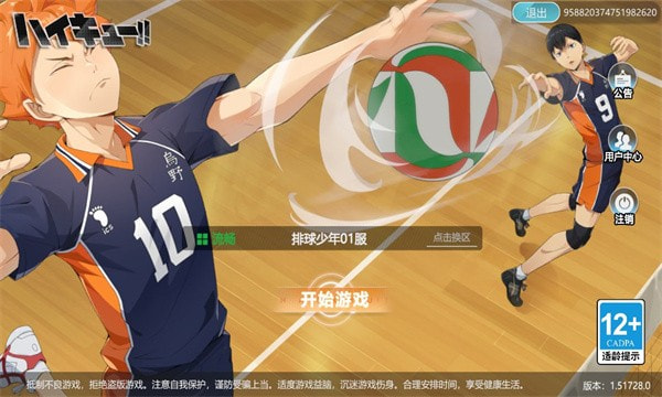 排球少年飞吧乌野高中0